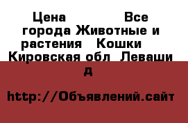 Zolton › Цена ­ 30 000 - Все города Животные и растения » Кошки   . Кировская обл.,Леваши д.